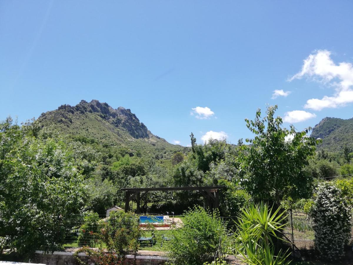 Casa Rural La Maquinilla Grazalema Eksteriør billede