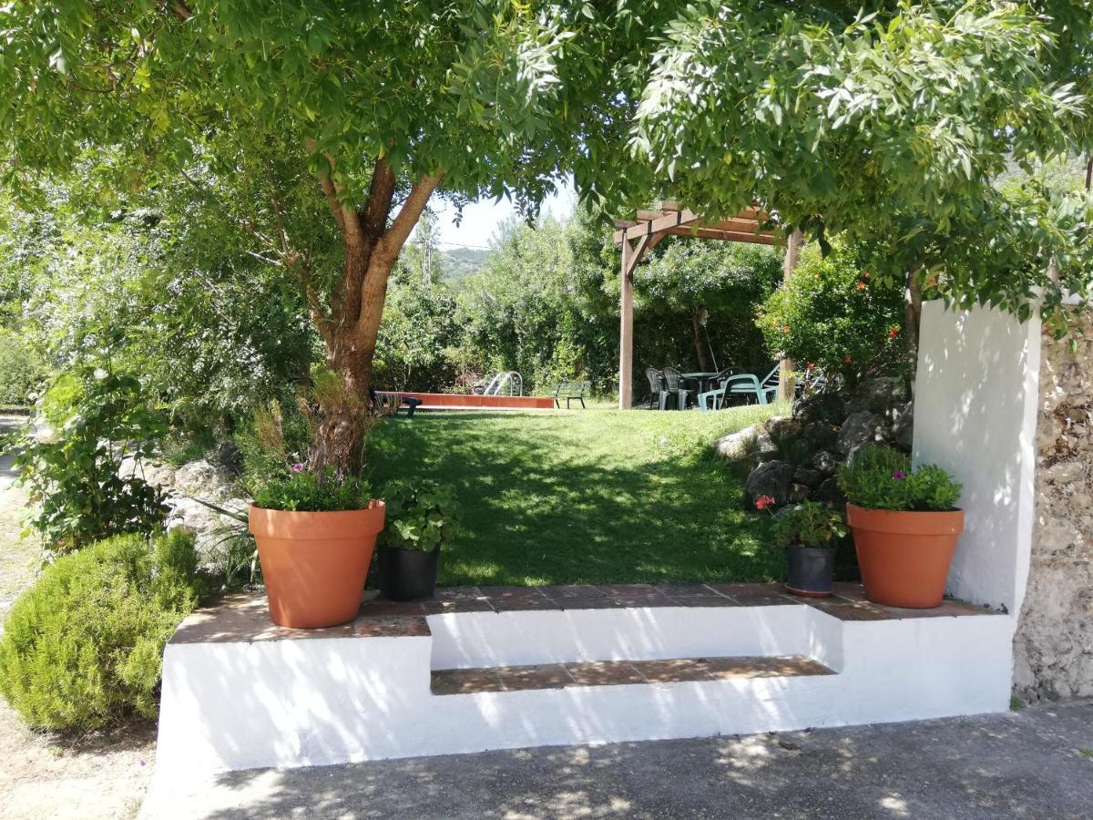 Casa Rural La Maquinilla Grazalema Eksteriør billede