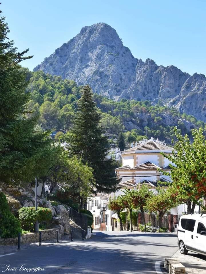 Casa Rural La Maquinilla Grazalema Eksteriør billede