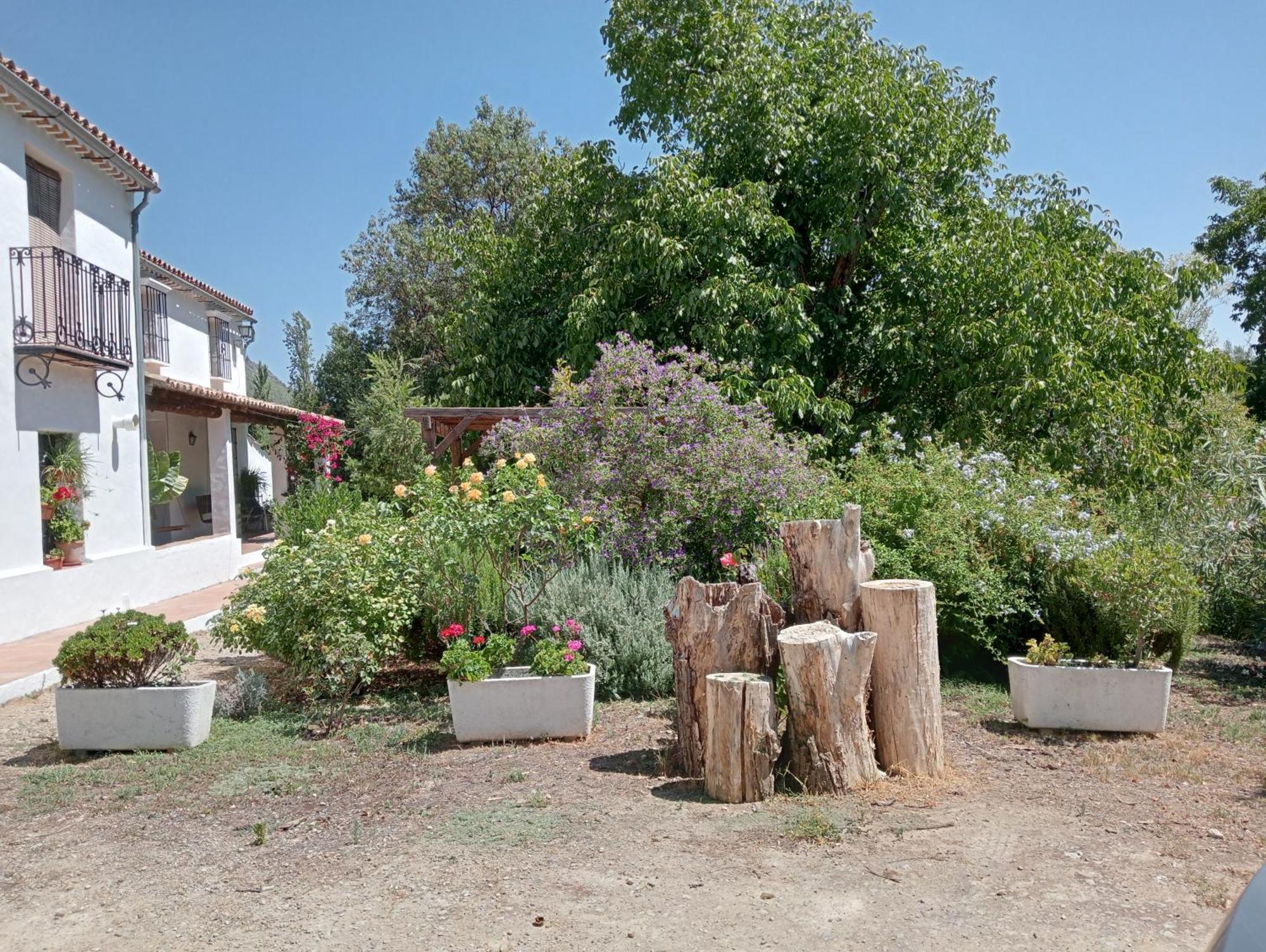 Casa Rural La Maquinilla Grazalema Eksteriør billede