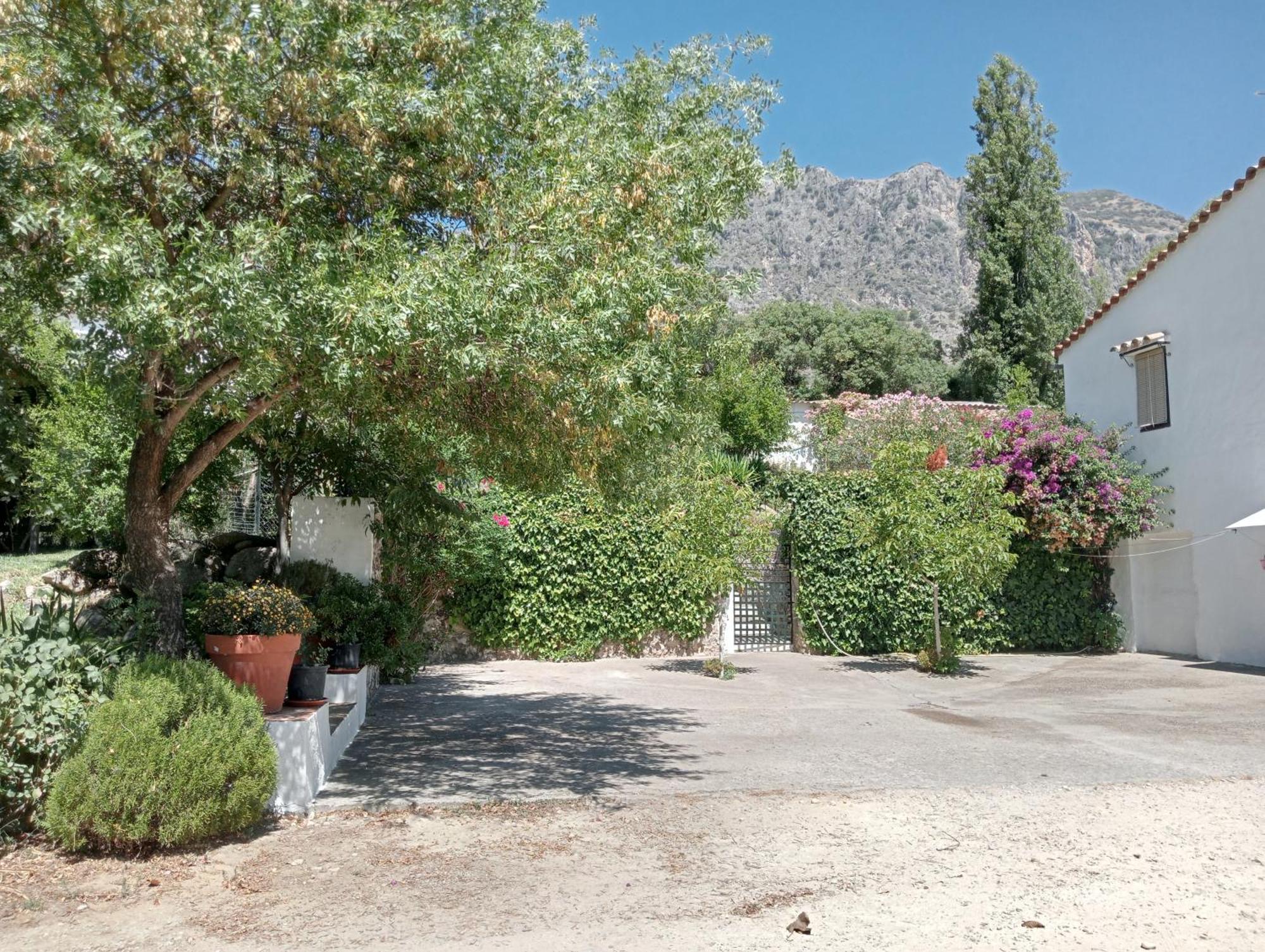Casa Rural La Maquinilla Grazalema Eksteriør billede