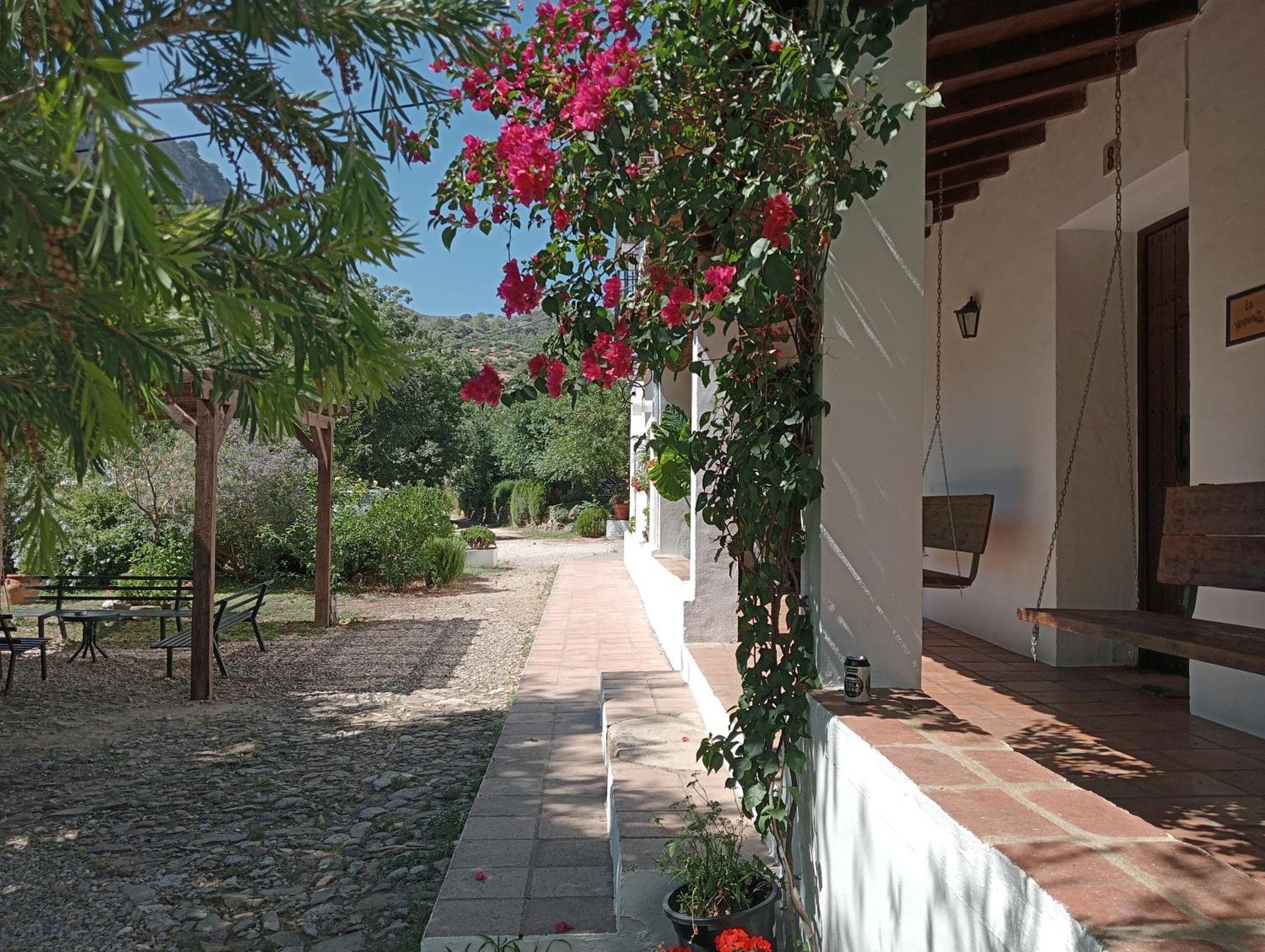 Casa Rural La Maquinilla Grazalema Eksteriør billede