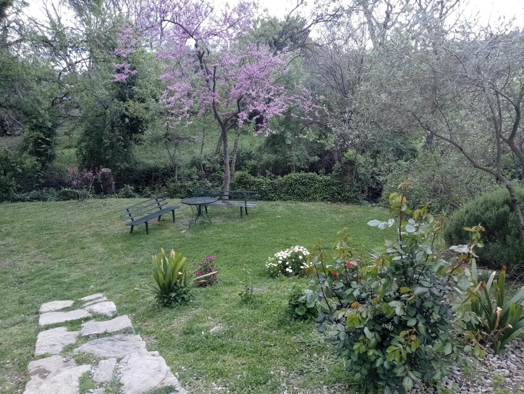 Casa Rural La Maquinilla Grazalema Eksteriør billede