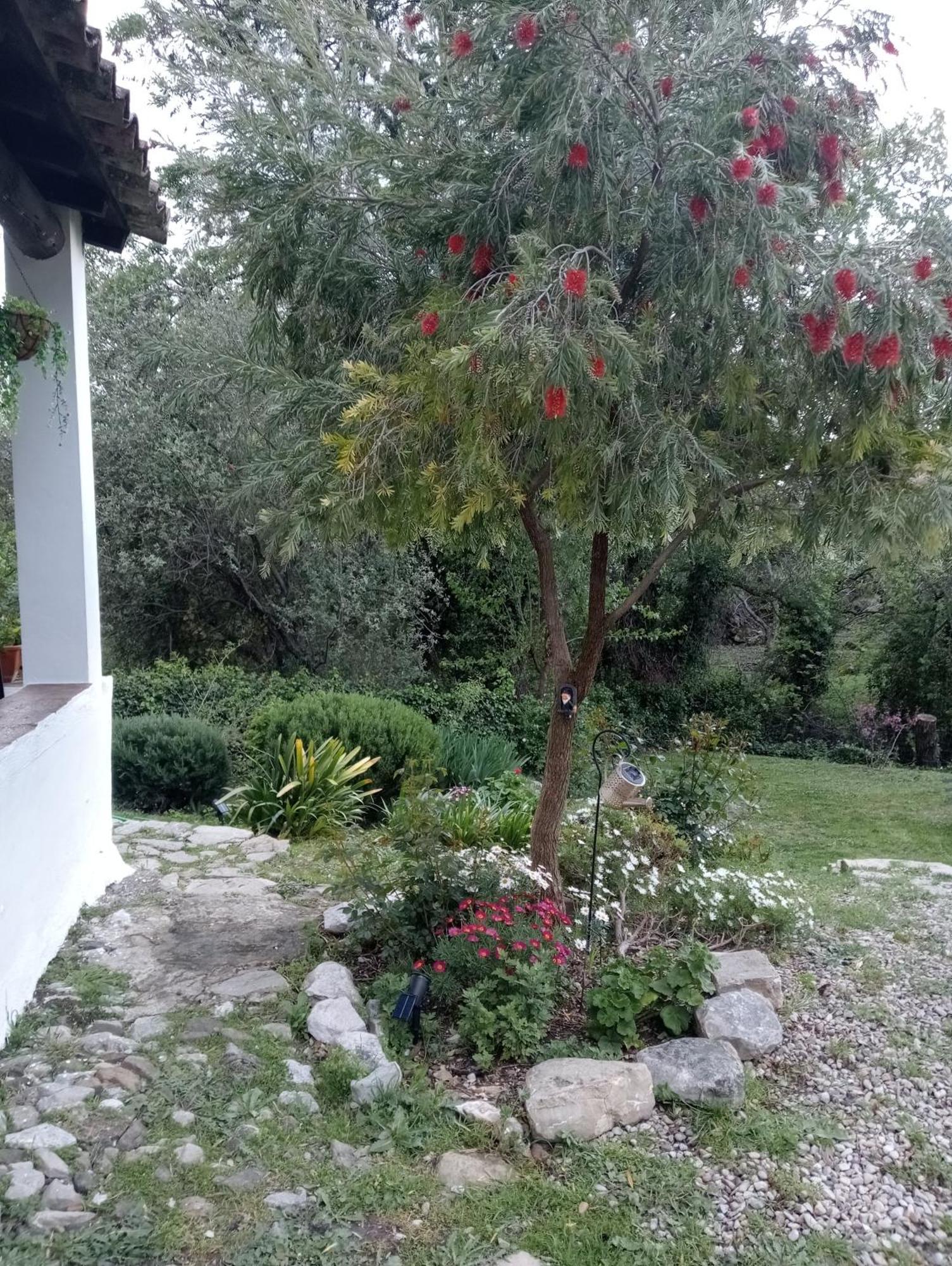 Casa Rural La Maquinilla Grazalema Eksteriør billede