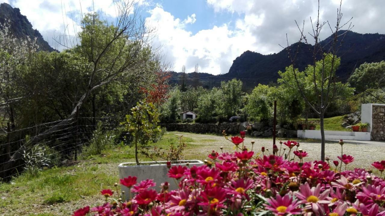 Casa Rural La Maquinilla Grazalema Eksteriør billede
