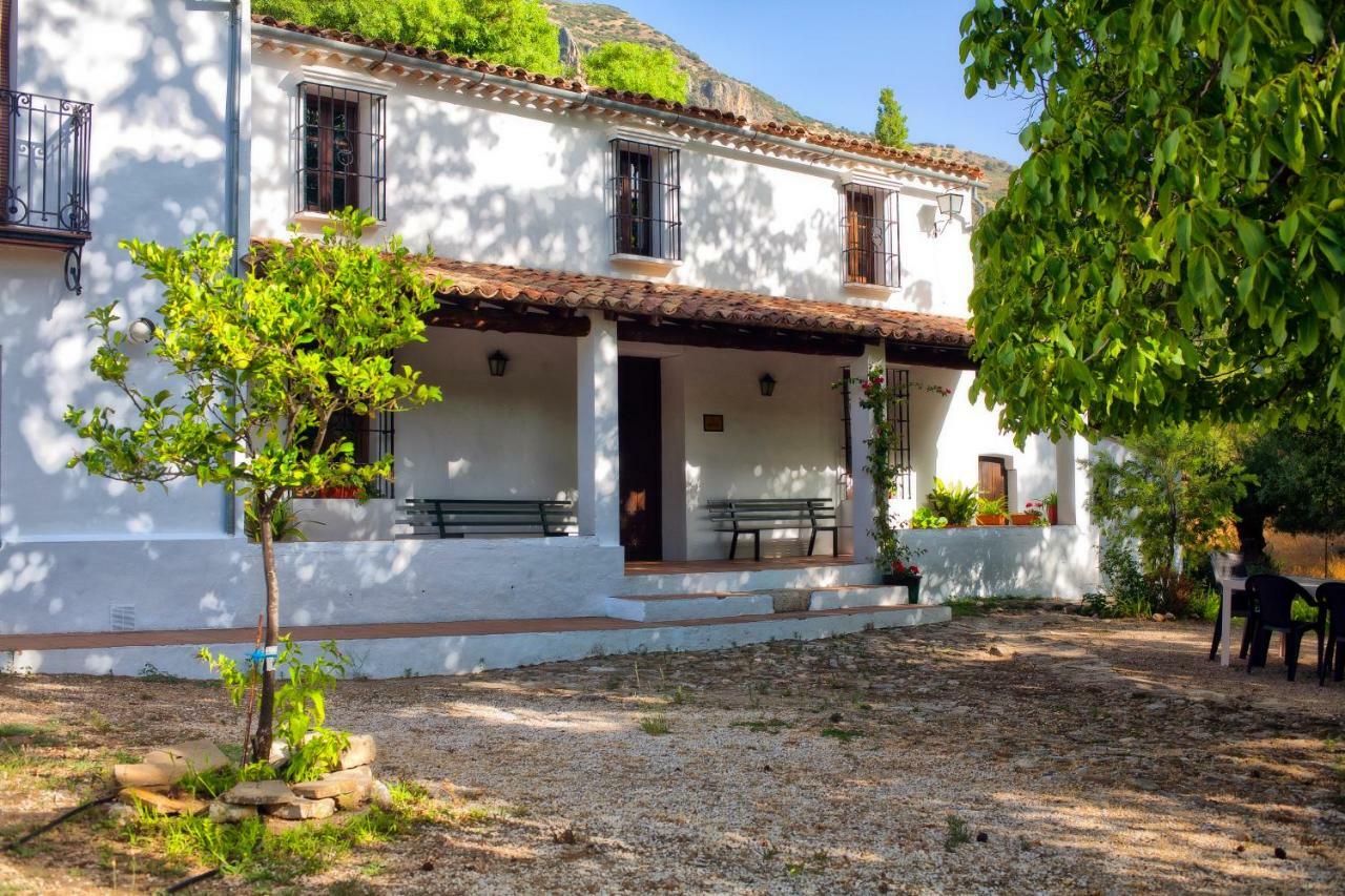Casa Rural La Maquinilla Grazalema Eksteriør billede
